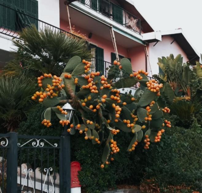 Giardino Miramare Citra Zero Zero Ottanta Trentuno Lt 0737 Apartamento Imperia Exterior foto